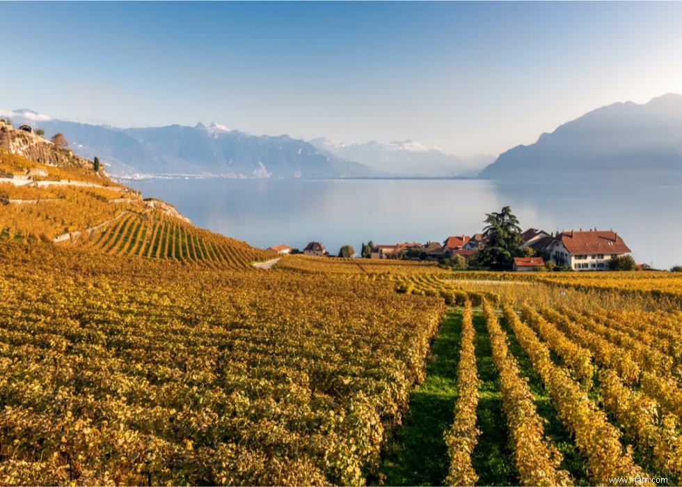 Caves et vignobles spectaculaires du monde entier 