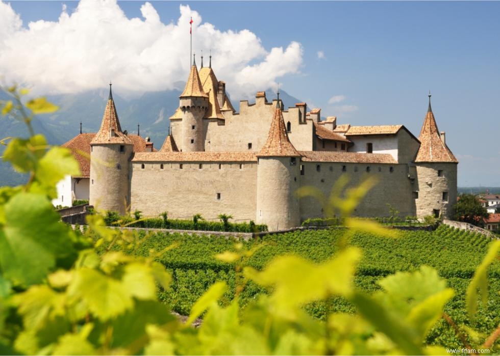 Caves et vignobles spectaculaires du monde entier 