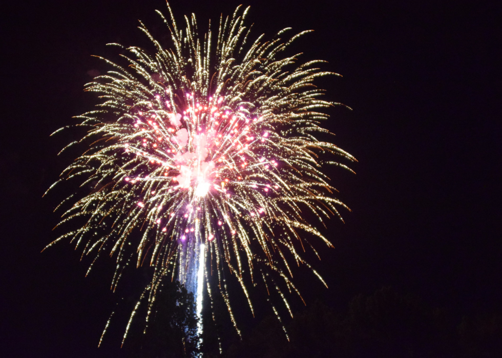 Les États dépensent le plus en feux d artifice 