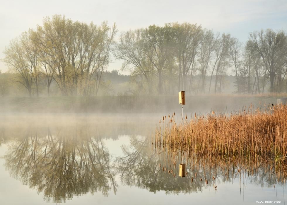 À quoi ressemble le printemps dans chaque état 