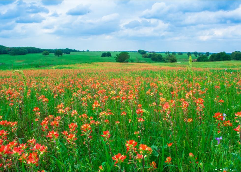 À quoi ressemble le printemps dans chaque état 