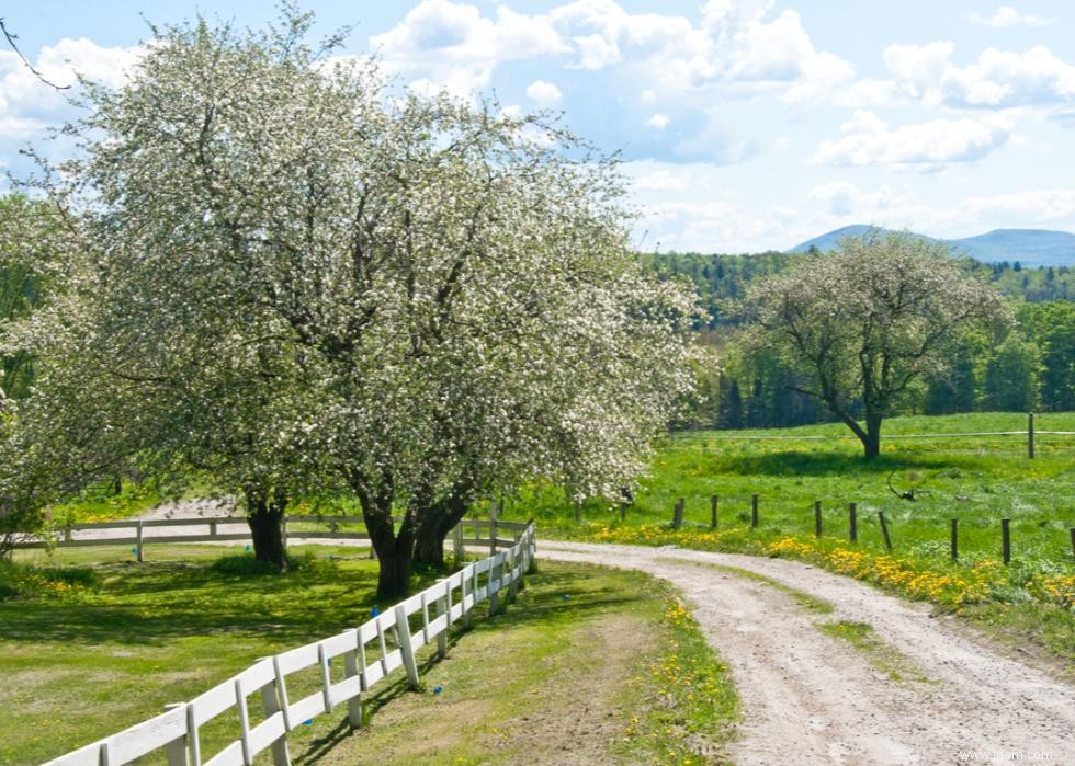 À quoi ressemble le printemps dans chaque état 