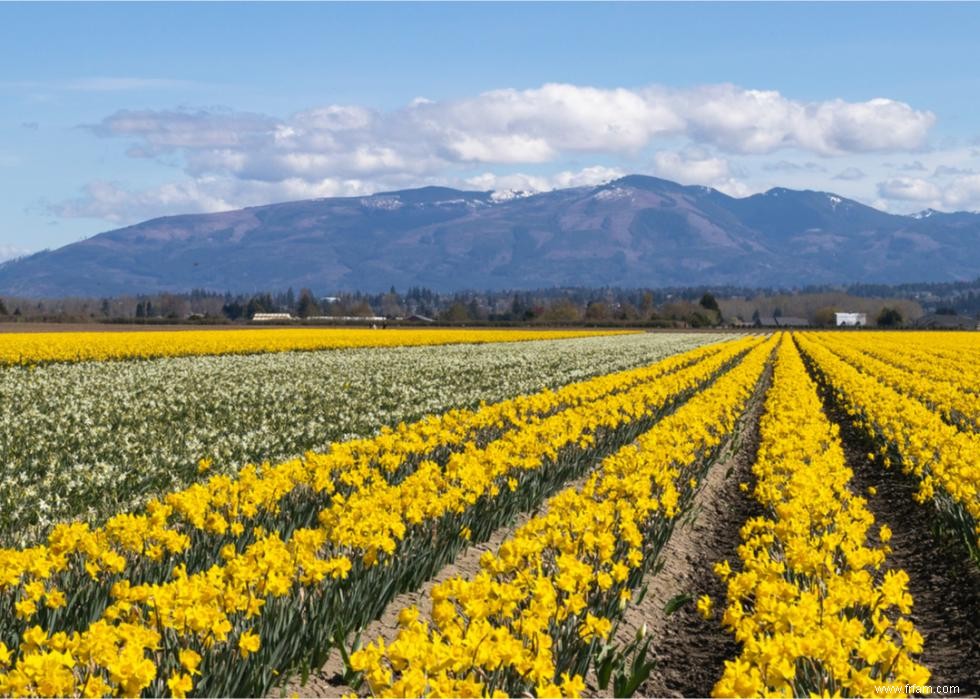 À quoi ressemble le printemps dans chaque état 