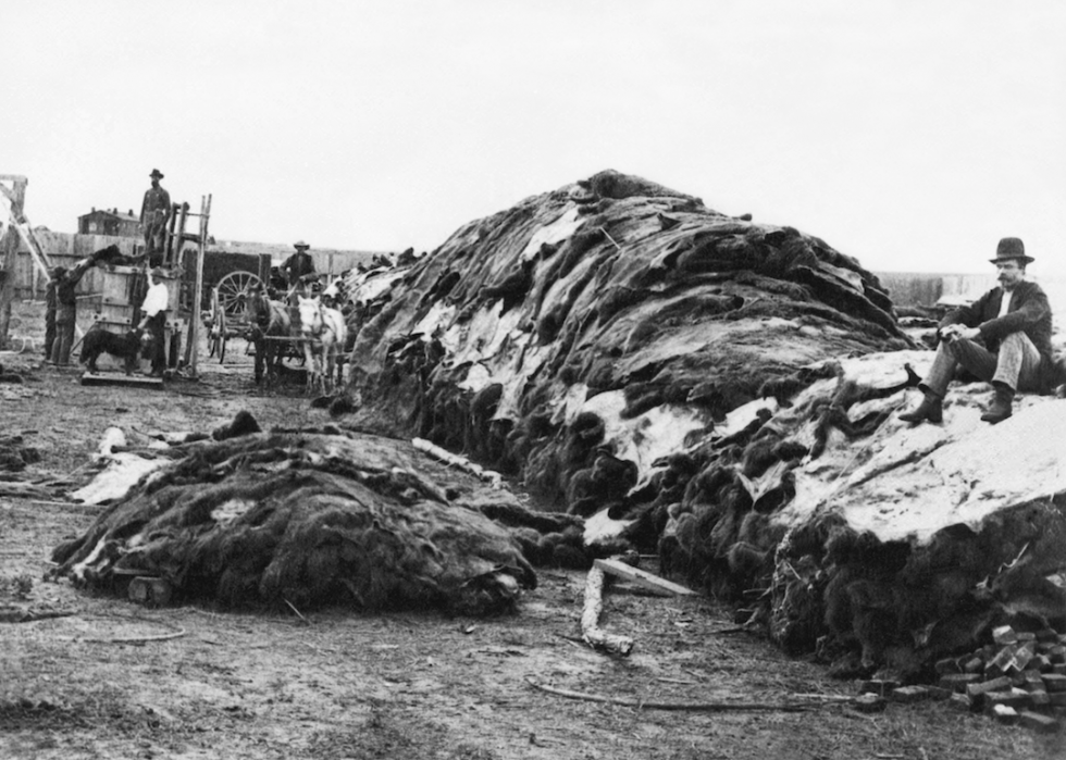 50 photos de la vie américaine au XIXe siècle 