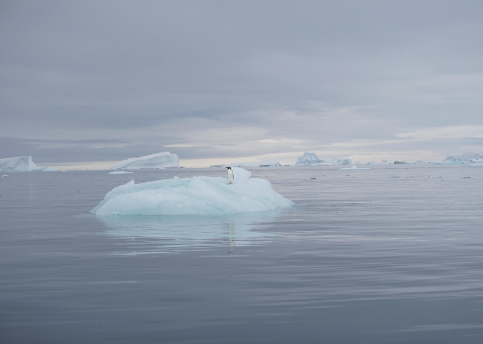 50 photos incroyables de nos océans 