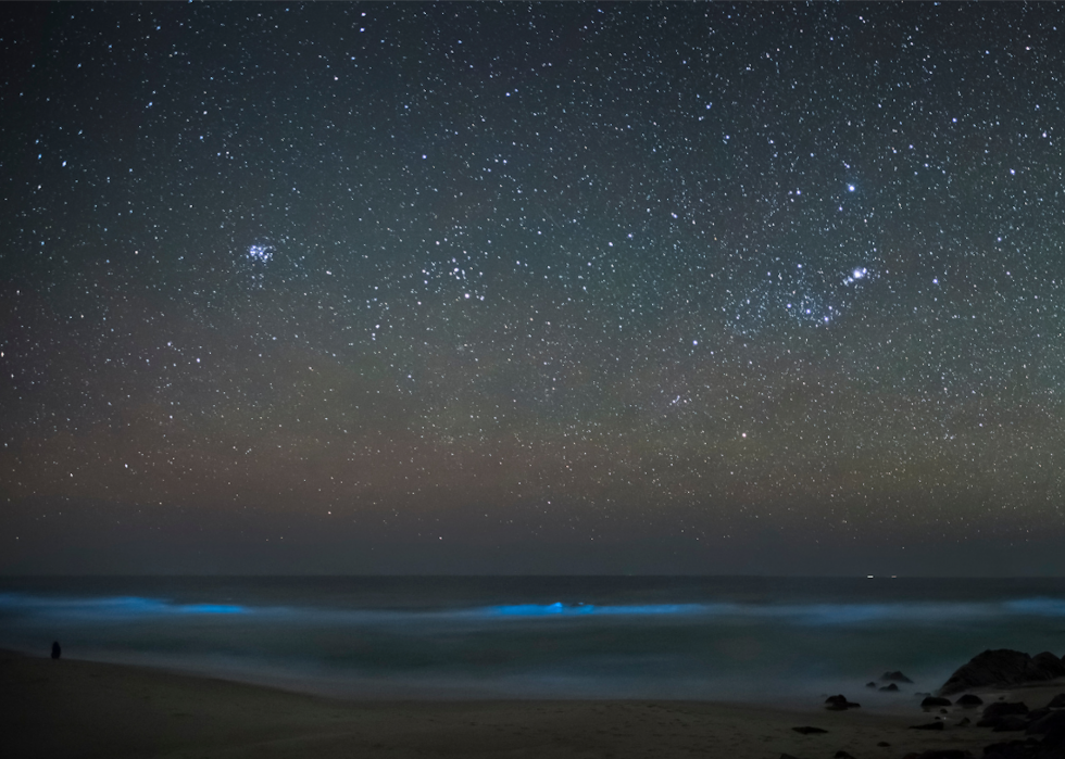 50 photos incroyables de nos océans 