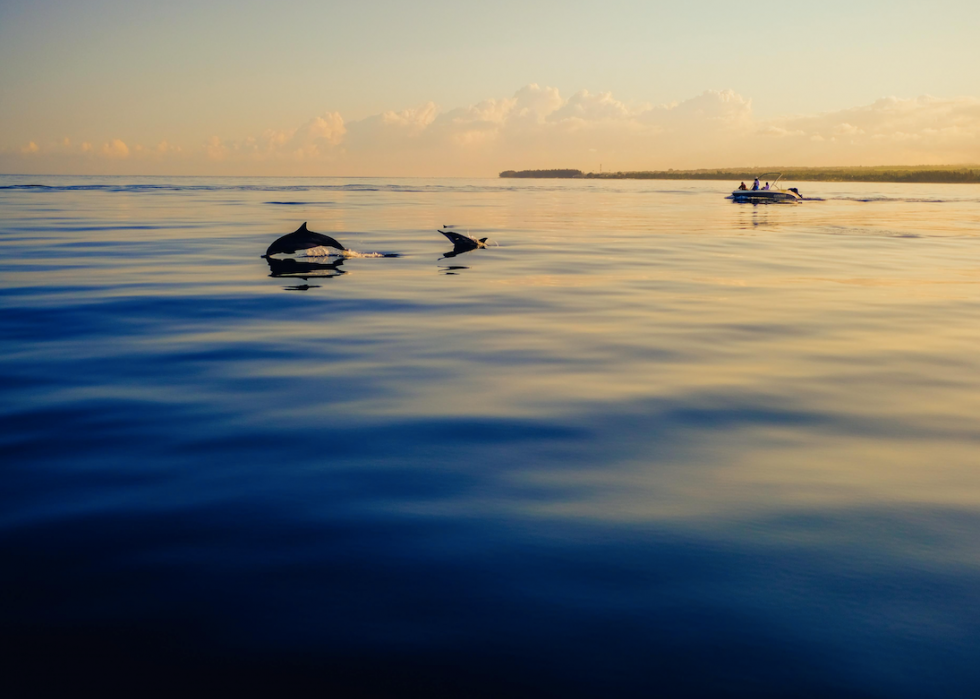 50 photos incroyables de nos océans 