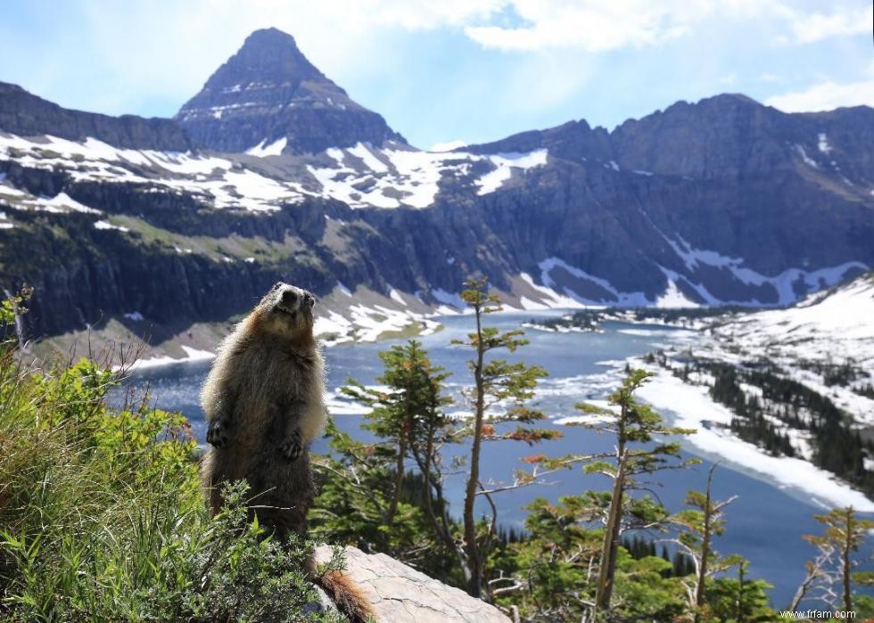 Les plus anciens parcs nationaux d Amérique 