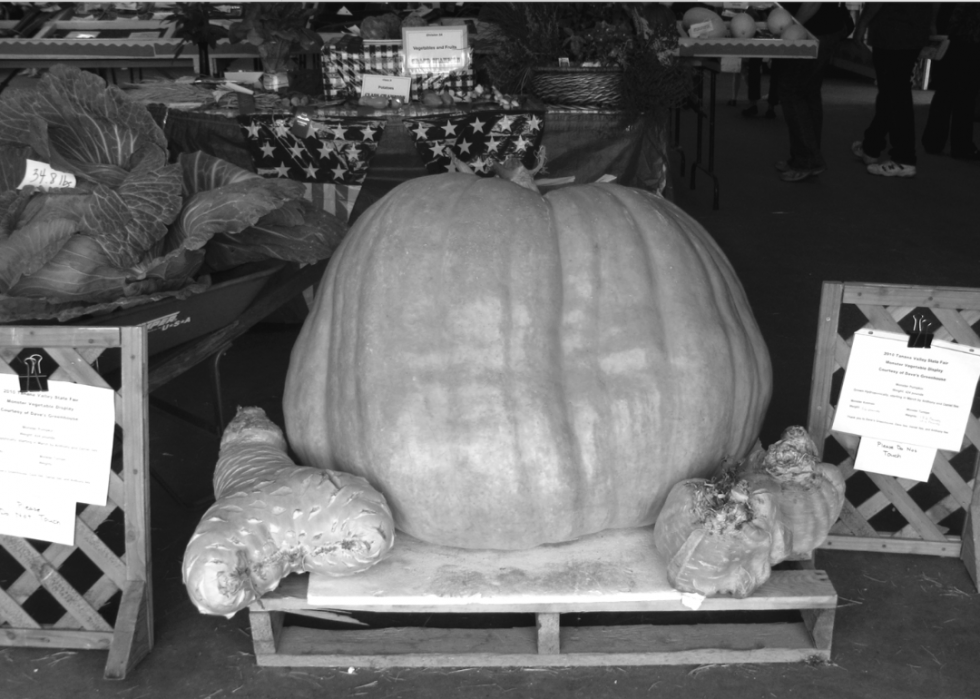 Photos historiques de l état et de la foire du comté de chaque état 