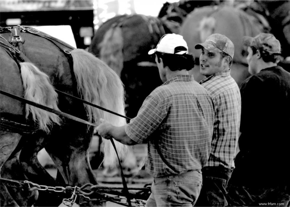 Photos historiques de l état et de la foire du comté de chaque état 