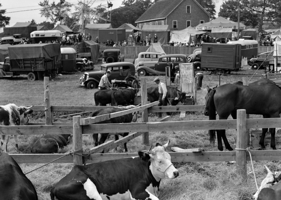 Photos historiques de l état et de la foire du comté de chaque état 