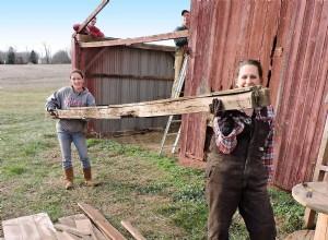 Économiser du bois de grange, une planche à la fois 