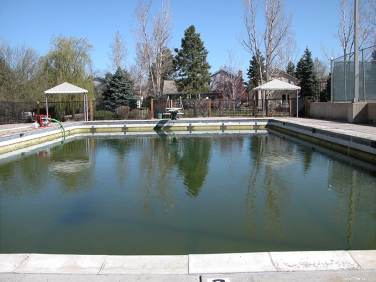 École de piscine  :les bases de l entretien 101 