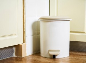Comment se débarrasser de l odeur de poubelle en 10 secondes (ou moins) 