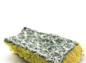 Votre éponge de cuisine pue-t-elle ? Voici comment le nettoyer 