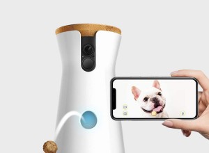 Une caméra pour animaux de compagnie pour garder un œil sur vos amis à fourrure 