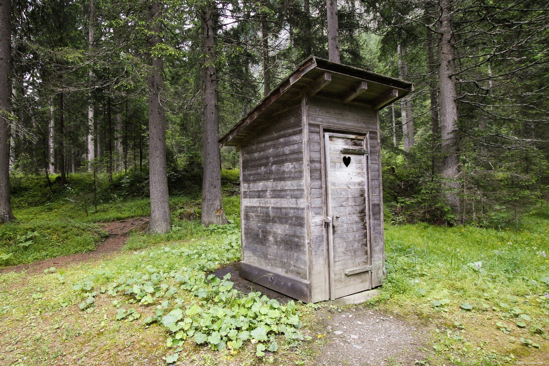 Devriez-vous obtenir une fosse septique pour la cabine ? 