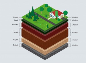 Guide du jardinier sur les horizons du sol 