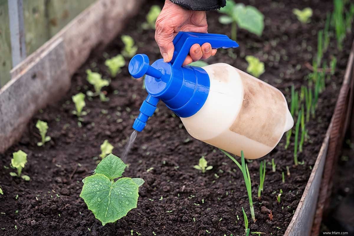 Guide du propriétaire sur les engrais de jardin 