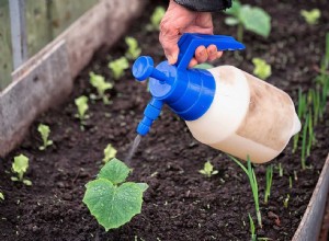 Guide du propriétaire sur les engrais de jardin 