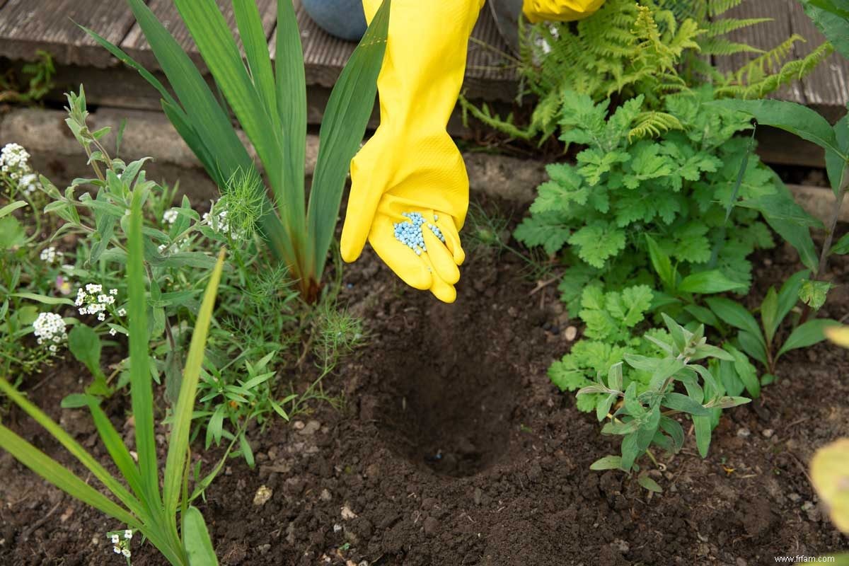 Guide du propriétaire sur les engrais de jardin 