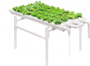 Ce qu il faut savoir sur les jardins hydroponiques 