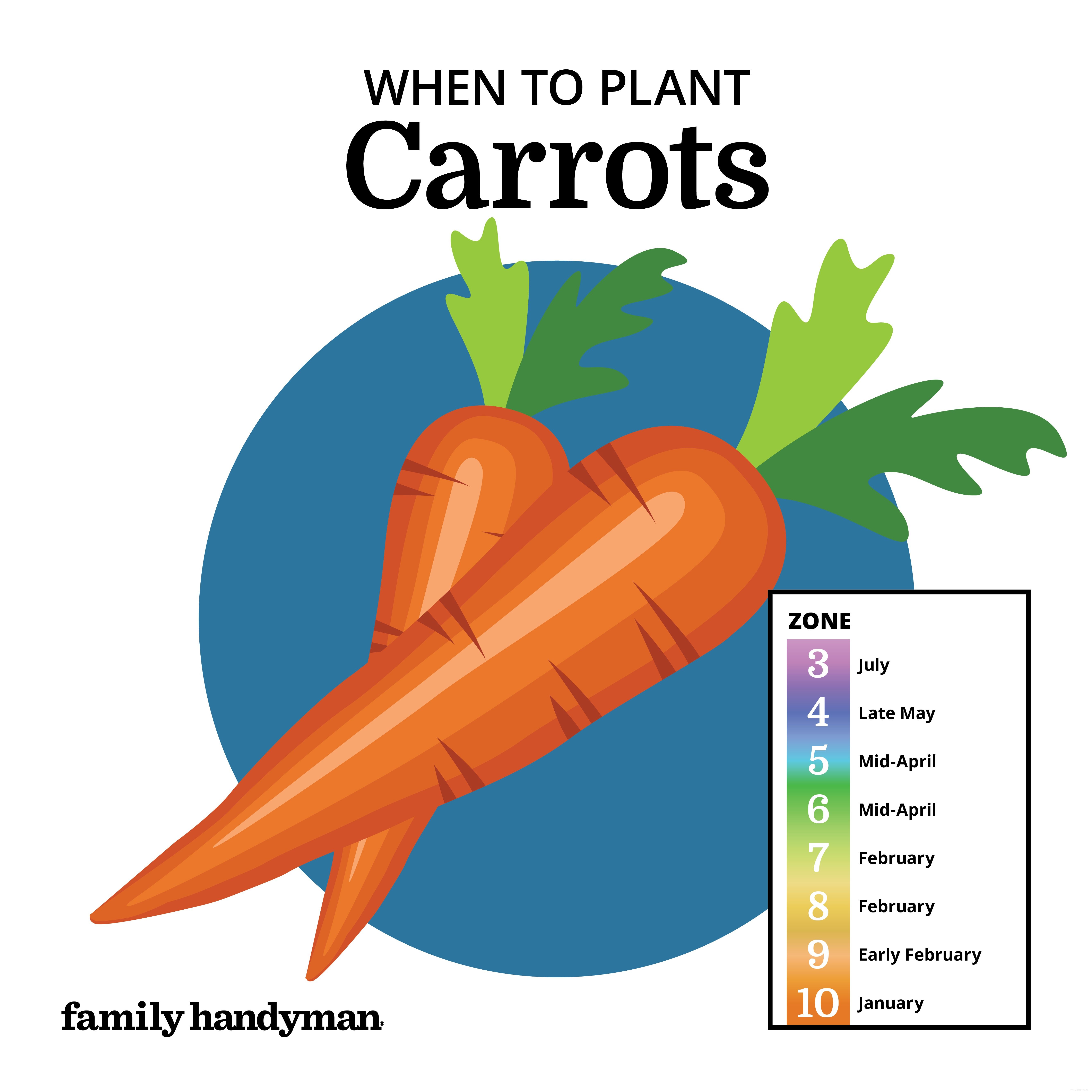 Calendrier de plantation :quand planter ces légumes populaires 