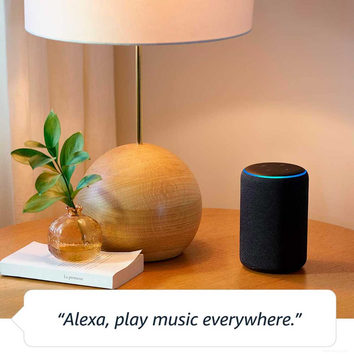 Ce qu il faut savoir sur l Amazon Echo 