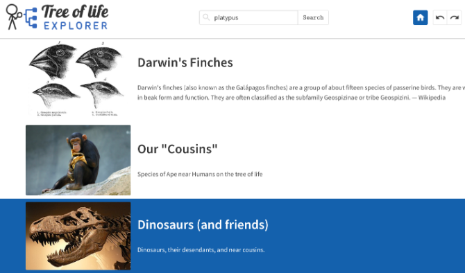 La théorie de l évolution :5 sites sympas à visiter le jour de Darwin 