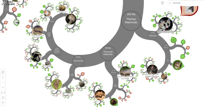 La théorie de l évolution :5 sites sympas à visiter le jour de Darwin 