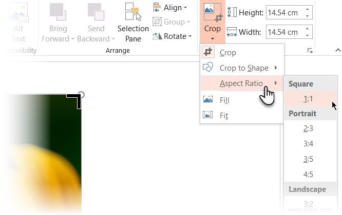 3 façons de recadrer une image à l aide de Microsoft PowerPoint 