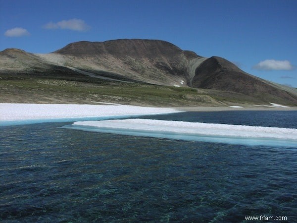 Le pôle Nord bientôt libre de glace ? 