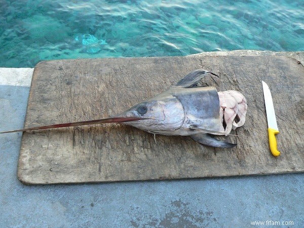 Les poissons d eau profonde contiennent plus de mercure 