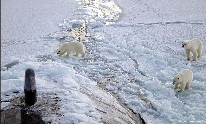 Pourquoi le pôle Nord doit rester froid 