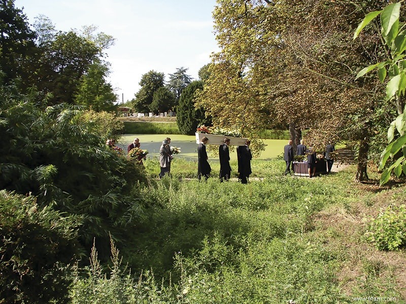 Enterré dans la verdure 