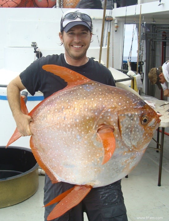 Découverte du premier poisson à sang chaud 