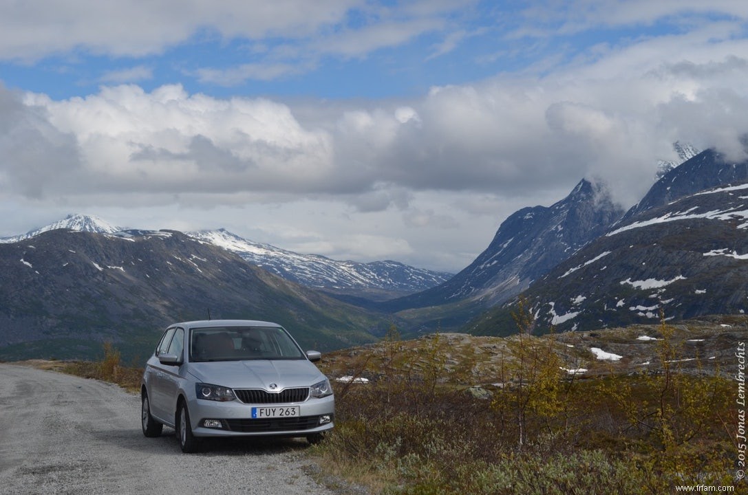 Plantes voyageant le long des routes de montagne 