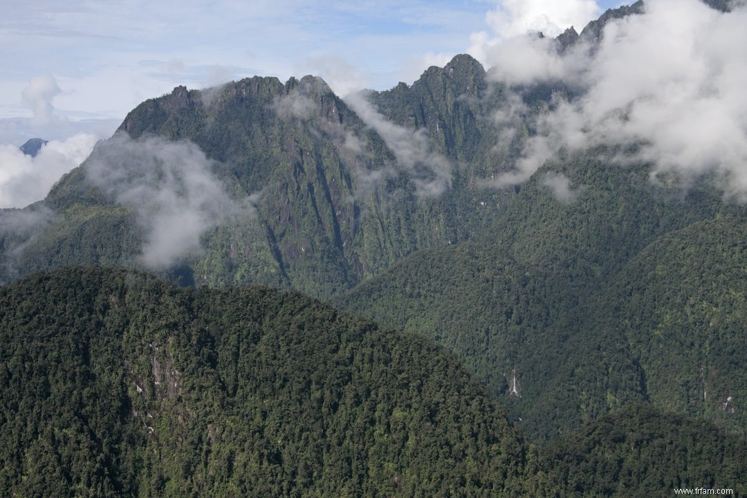 Les montagnes stimulent la spéciation 