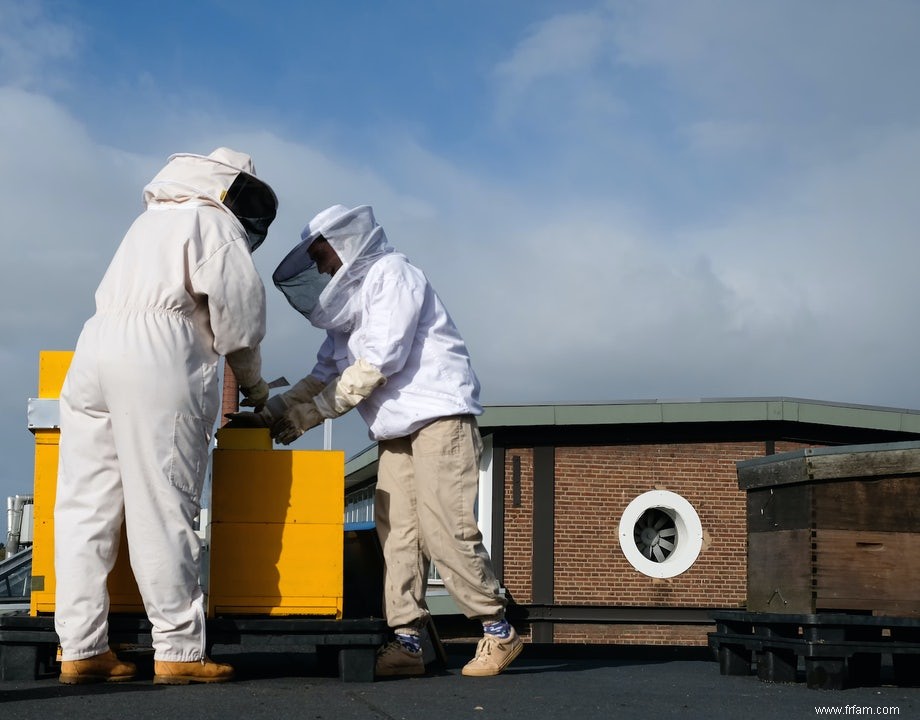 Les abeilles bruxelloises aident à détecter la pollution de l air 