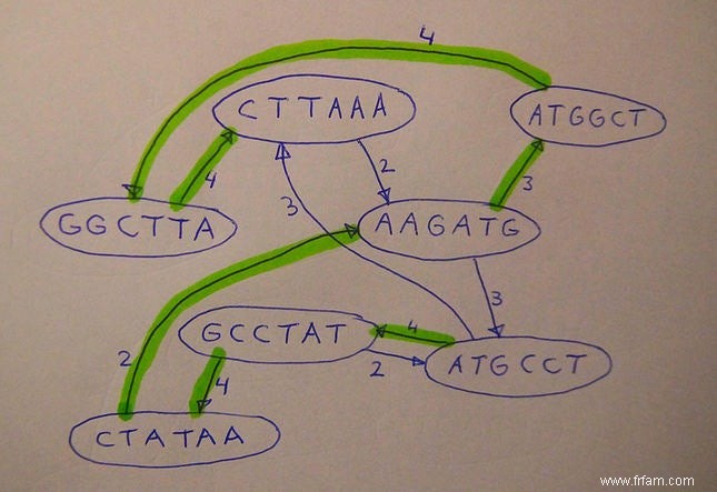 Comment les mathématiques aident à lutter contre les virus pathogènes 