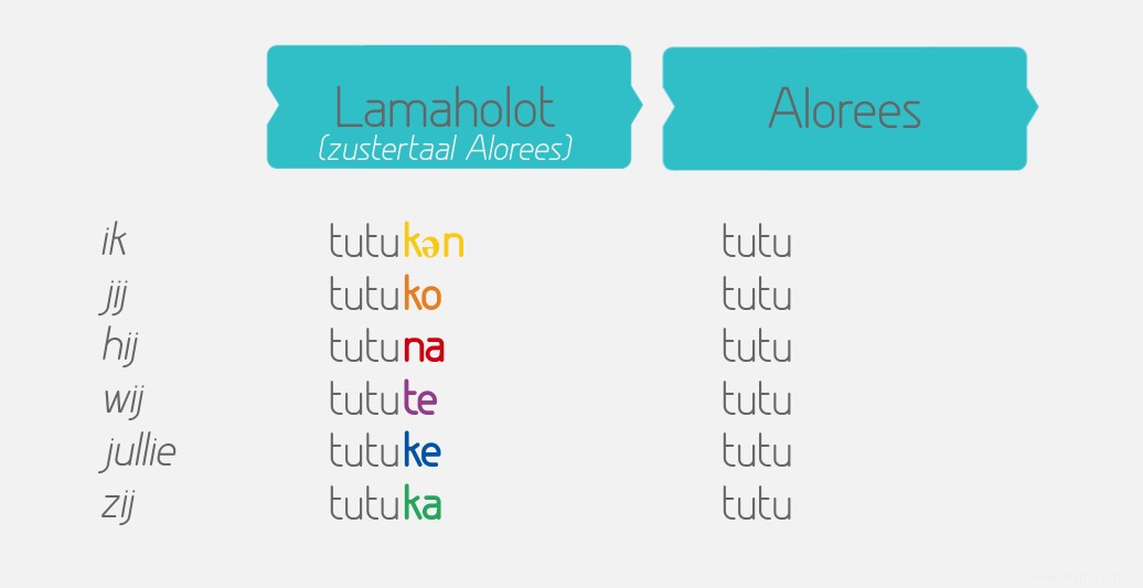 Des simulations informatiques montrent comment le langage se simplifie 