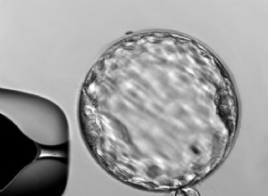 Gènes en mode pause 