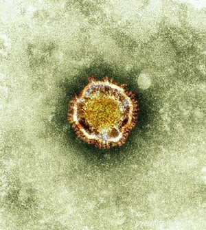 Le nouveau coronavirus peut se transmettre d une personne à l autre 