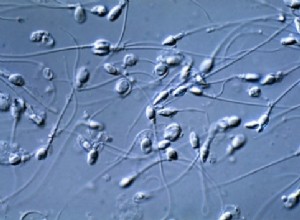 La pilule pour hommes un pas de plus 