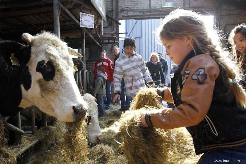 Comment l air de la ferme protège contre les allergies 