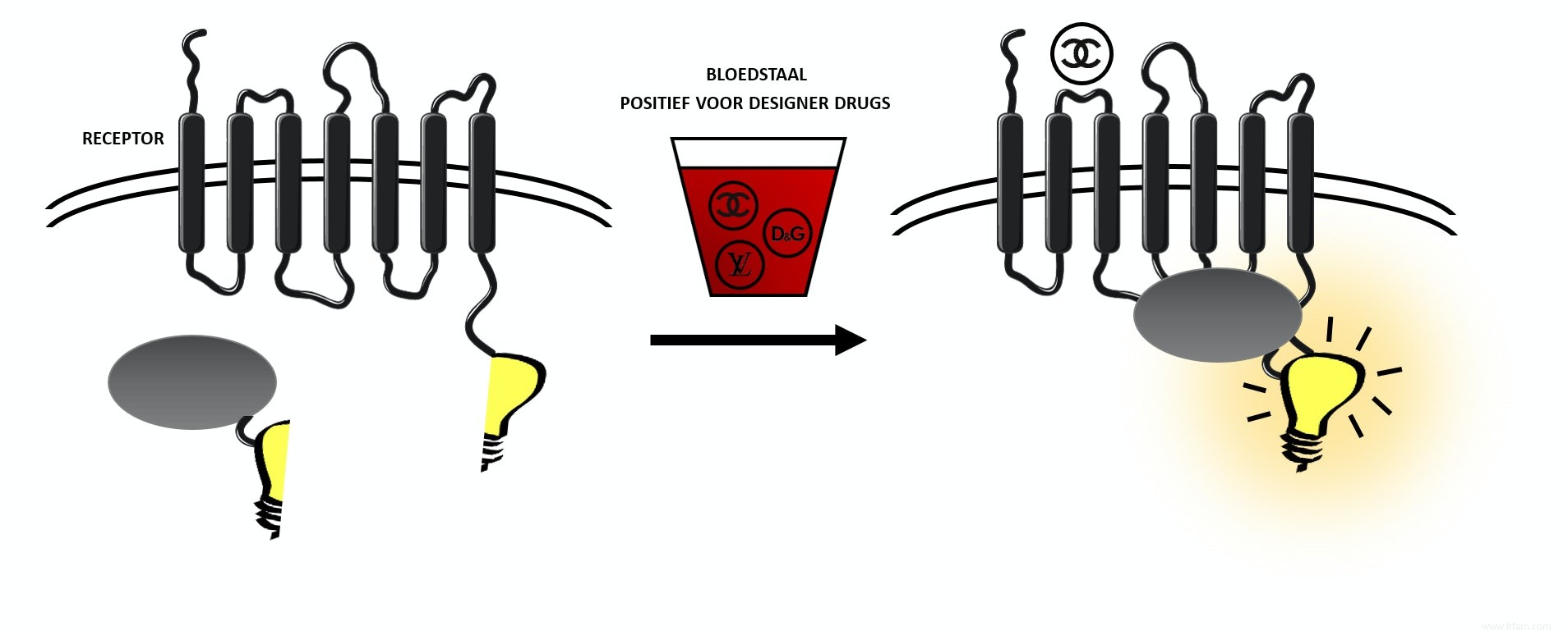 Déjouer les drogues insaisissables 