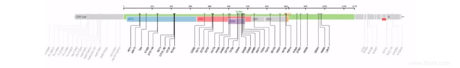 Pourquoi la variante corona B.1.1.529 est rapidement devenue la variante inquiétante  omicron  