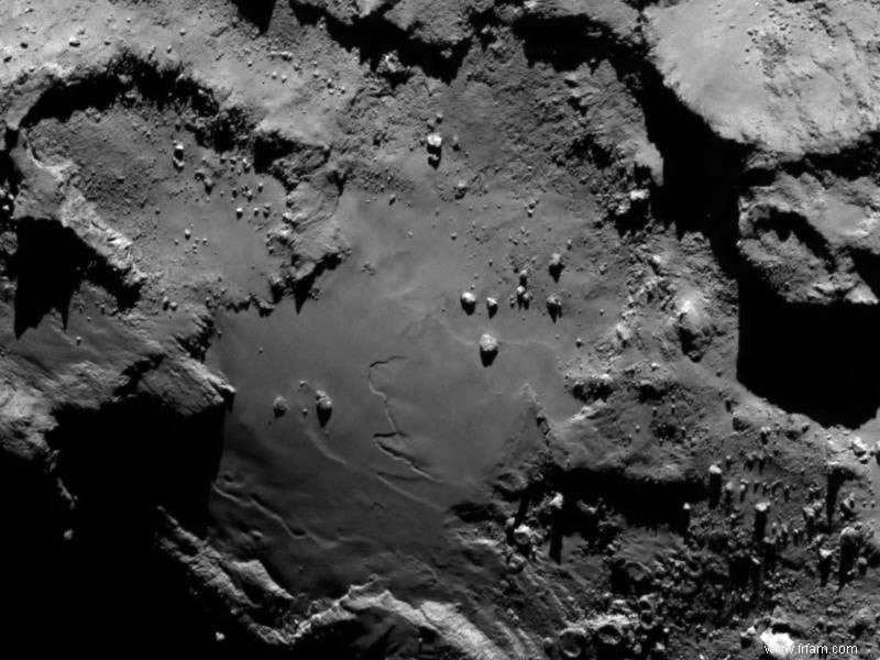 Existe-t-il des micro-organismes vivant sur la comète Rosetta ? 