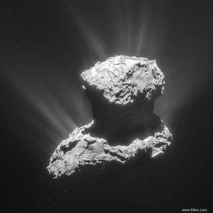 La comète de Rosetta contient des éléments constitutifs de la vie 