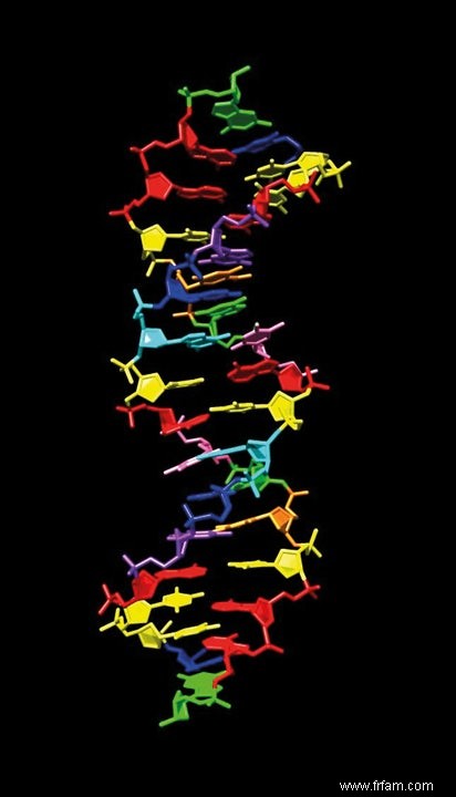 La recherche de  l ADN  de la vie extraterrestre 